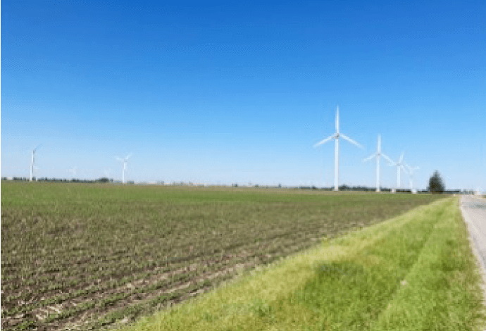 ケビン農場の広大な大豆畑、風力発電