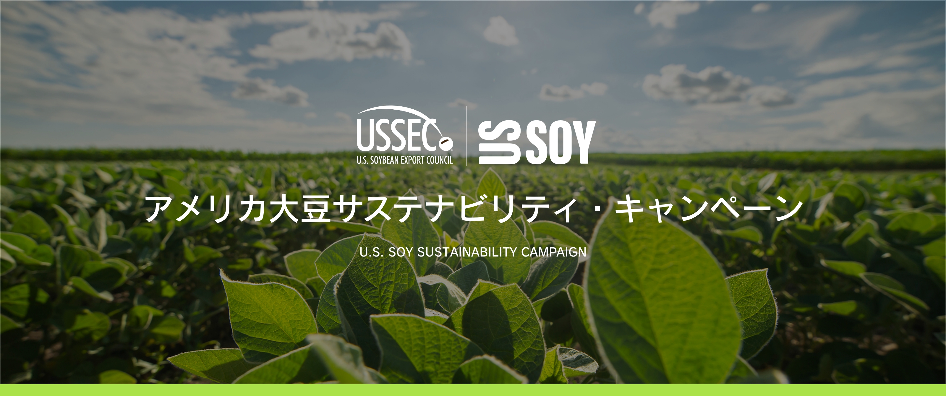 アメリカ大豆サステナビリティ・キャンペーン｜日経BP